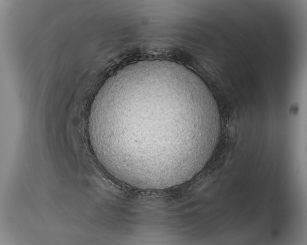 X0000115300817200911161655