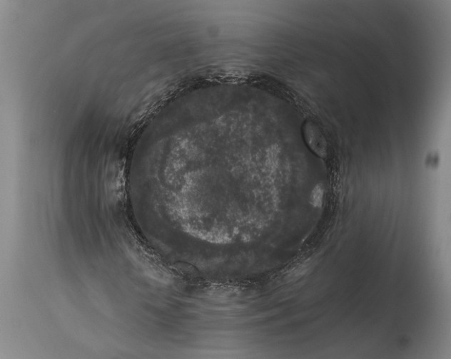 X0000115300818200911161655