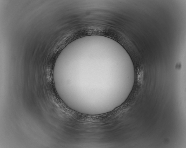 X0000115300819200911161655