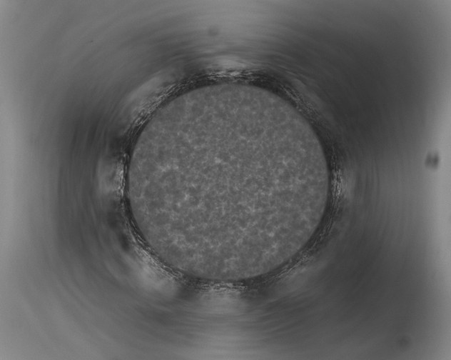 X0000115300820200911161655