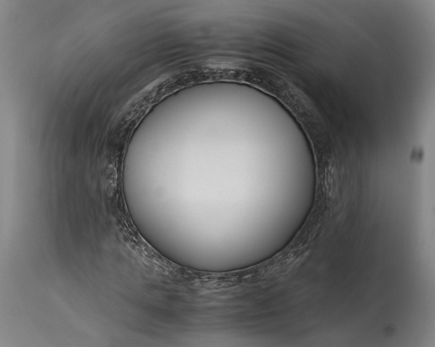 X0000115300821200911161655