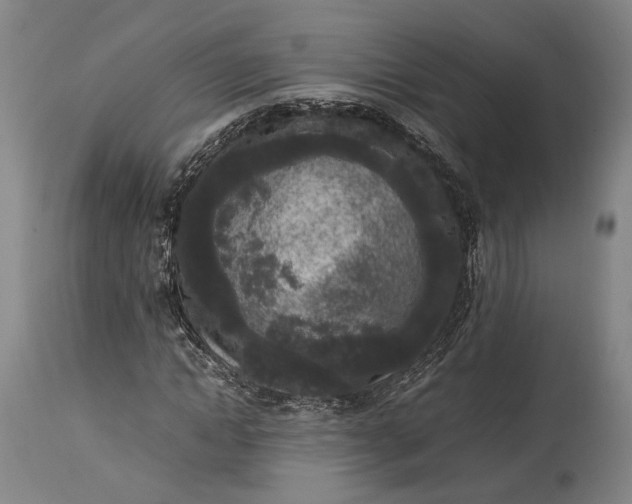 X0000115300822200911161655