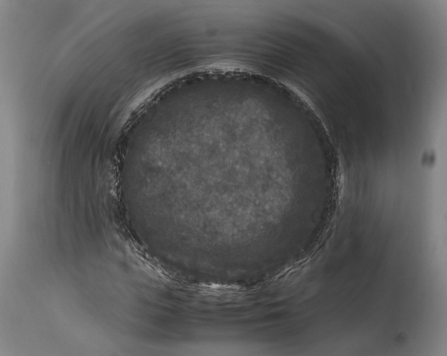 X0000115300823200911161655