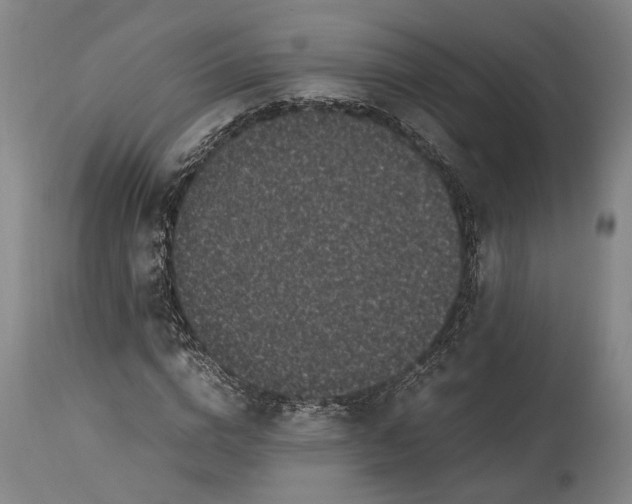 X0000115300824200911161655