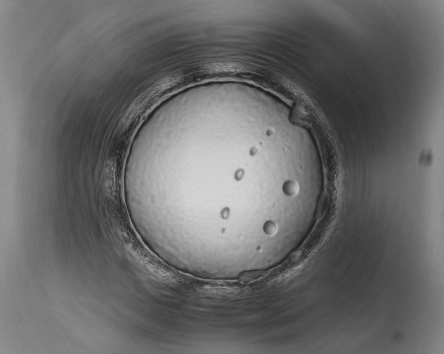 X0000115300825200911161655