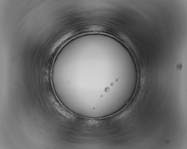 X0000115300827200911161655