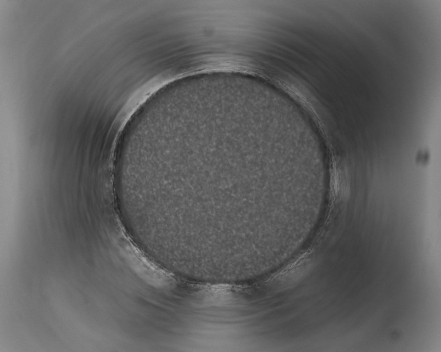 X0000115300828200911161655