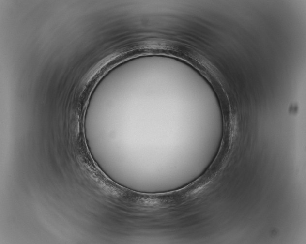 X0000115300829200911161655