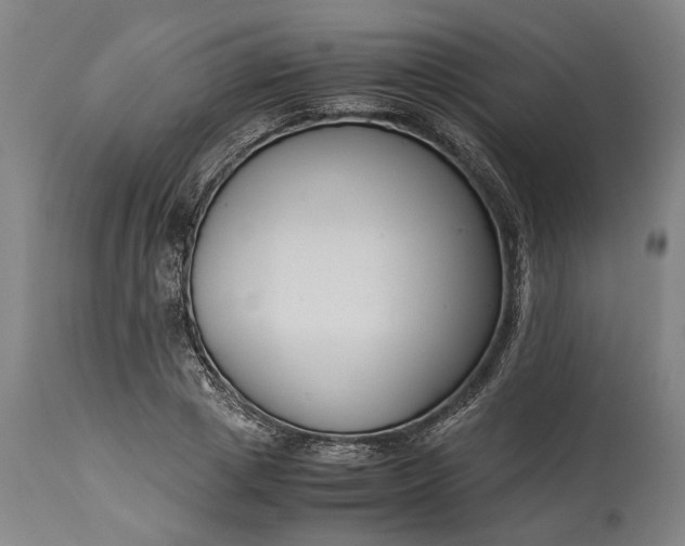 X0000115300833200911161655