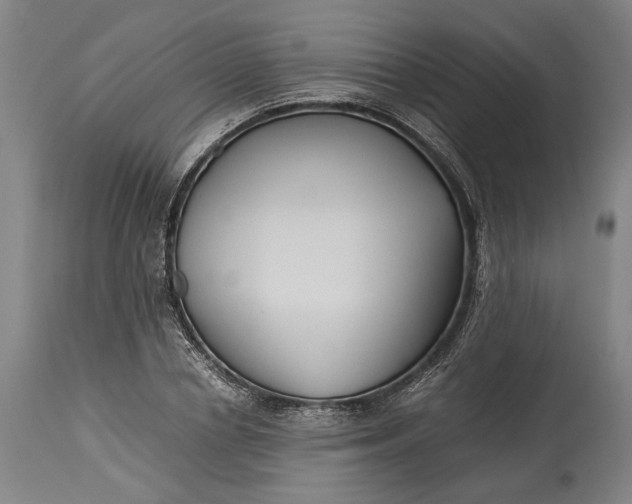 X0000115300834200911161655