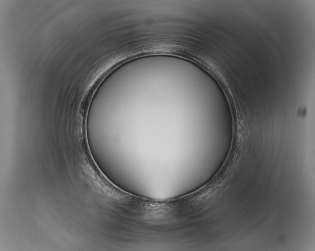 X0000115300835200911161655