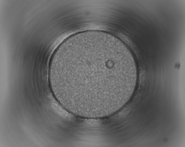 X0000115300836200911161655