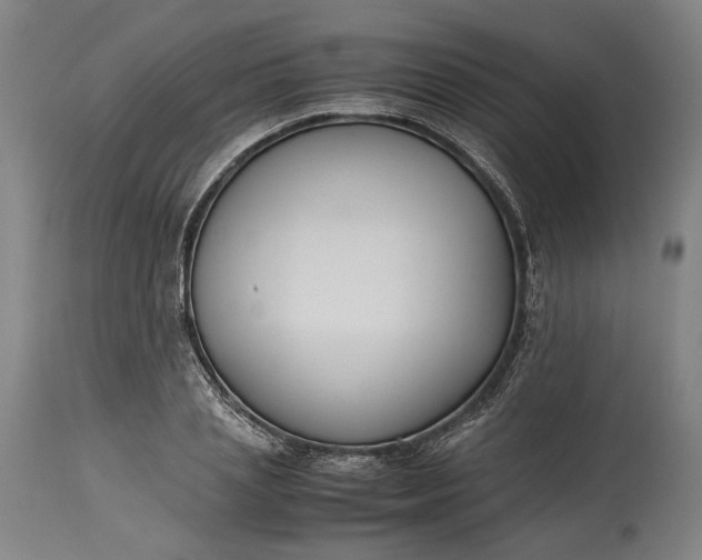 X0000115300837200911161655