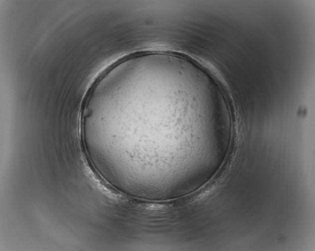 X0000115300839200911161655