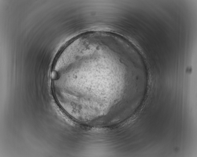 X0000115300840200911161655