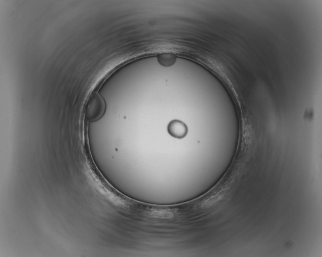 X0000115300843200911161655