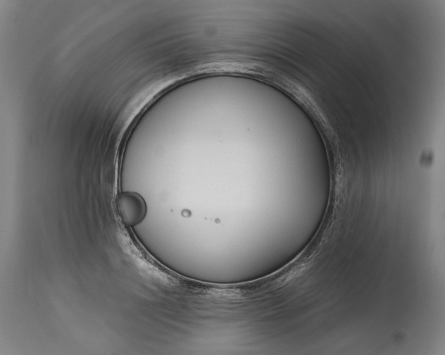 X0000115300844200911161655