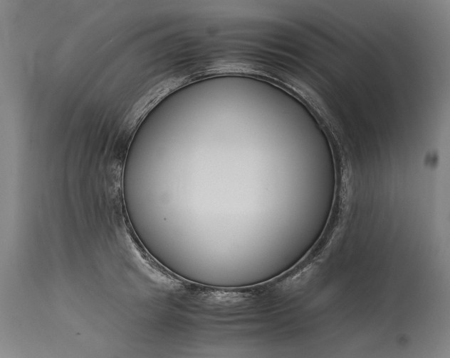 X0000115300849200911161655