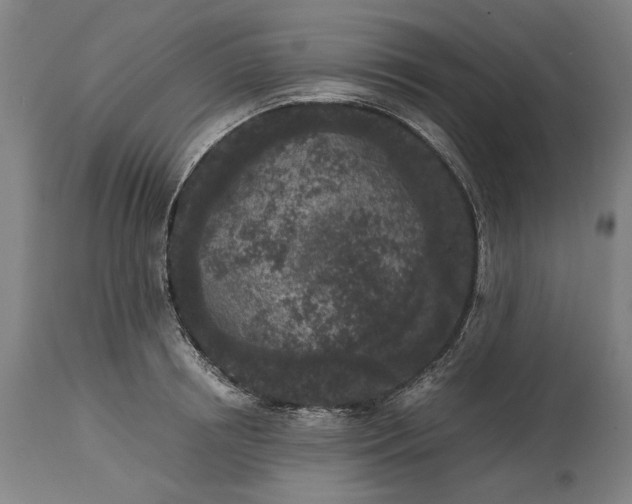 X0000115300850200911161655