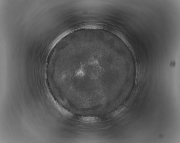 X0000115300853200911161655