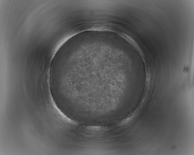 X0000115300855200911161655