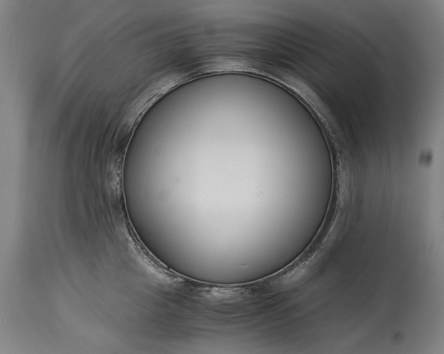 X0000115300857200911161656