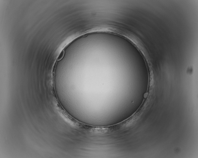 X0000115300858200911161656