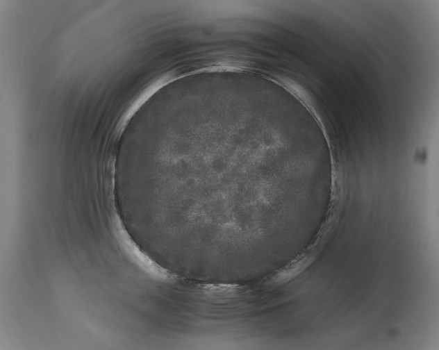 X0000115300859200911161656