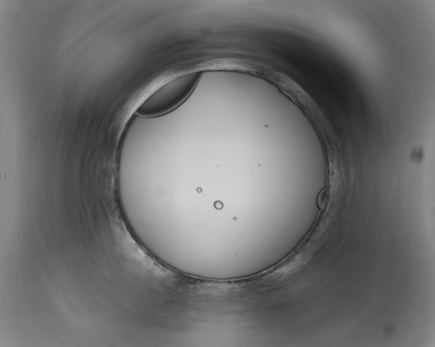 X0000115300860200911161656