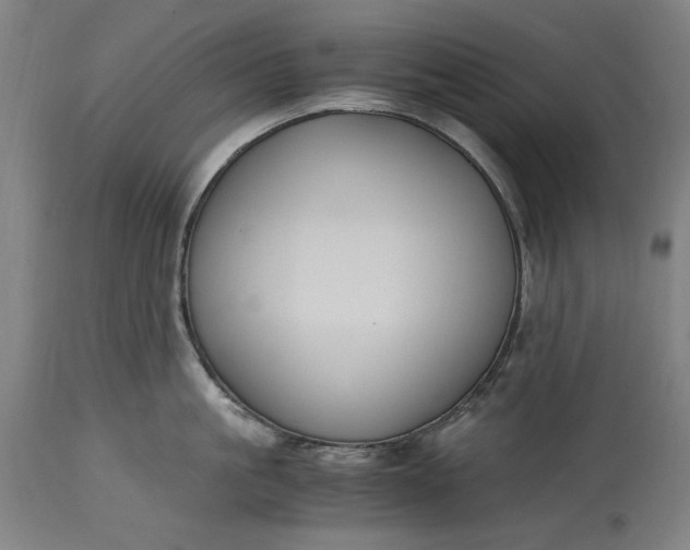 X0000115300861200911161656