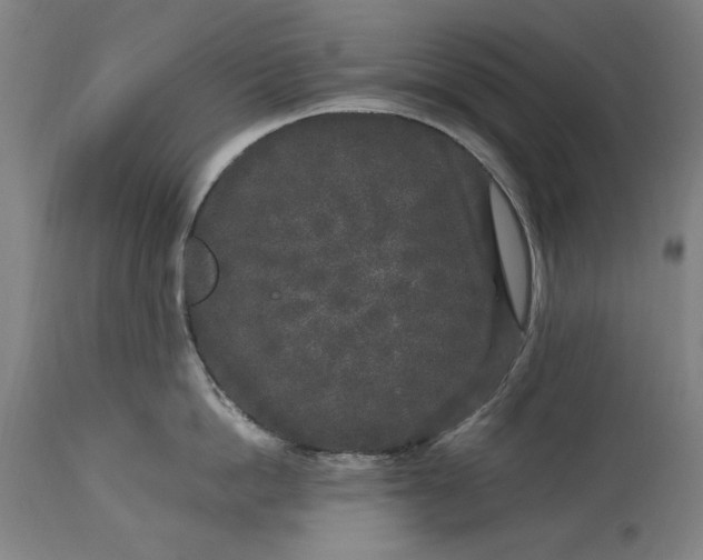 X0000115300862200911161656