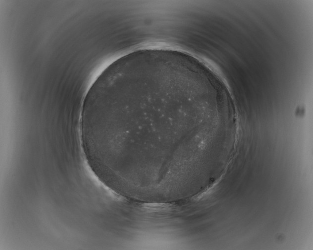 X0000115300863200911161656