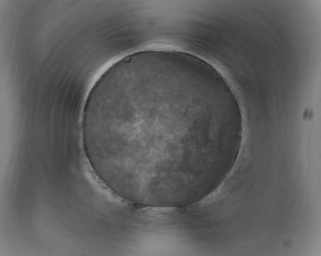 X0000115300864200911161656