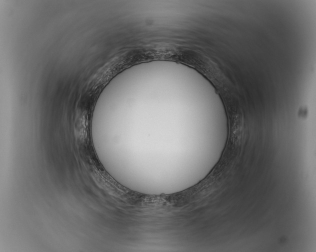 X0000115300866200911161655