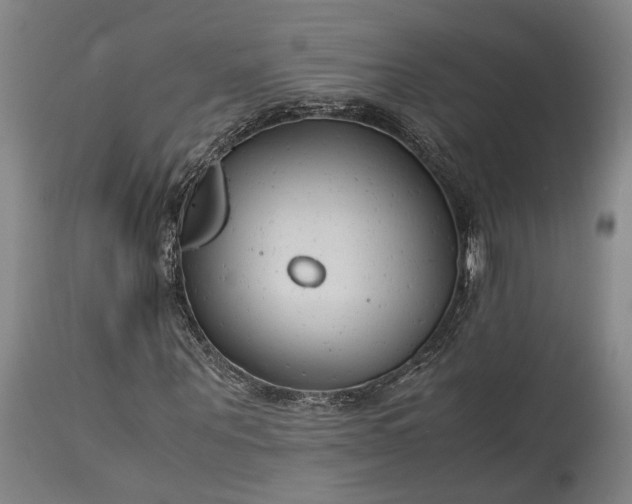 X0000115300867200911161655