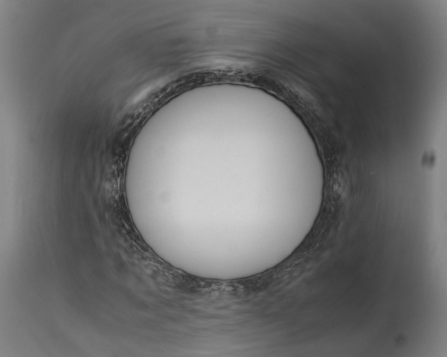 X0000115300869200911161655