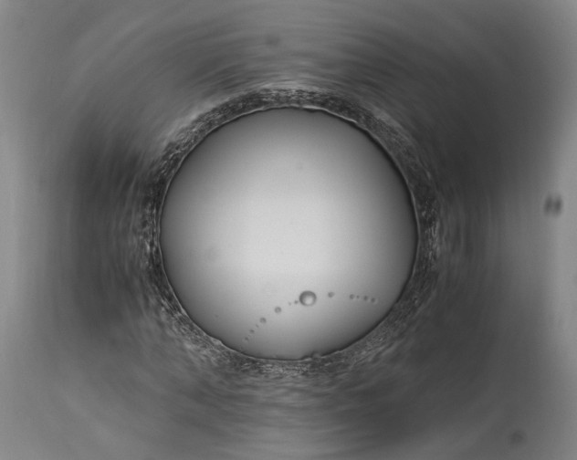 X0000115300870200911161655