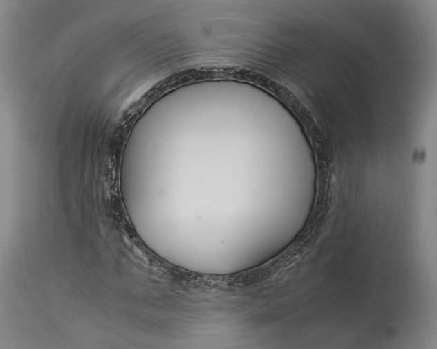 X0000115300871200911161655