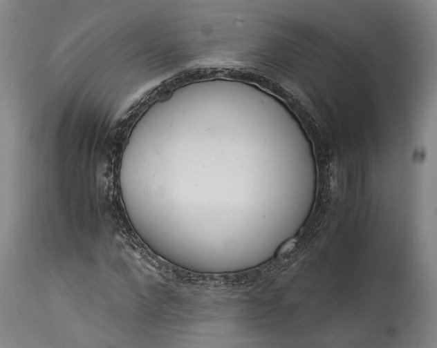 X0000115300872200911161655