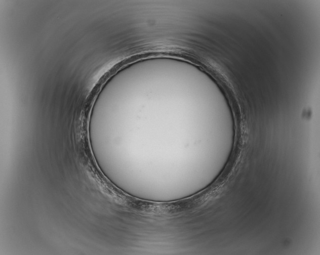 X0000115300875200911161655