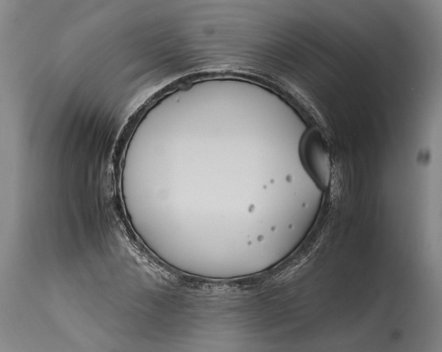 X0000115300876200911161655