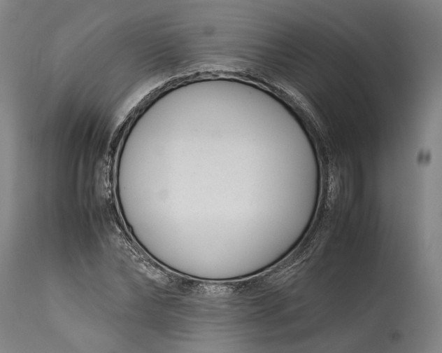 X0000115300878200911161655