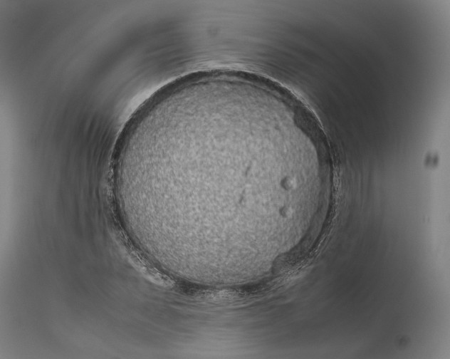 X0000115300879200911161655