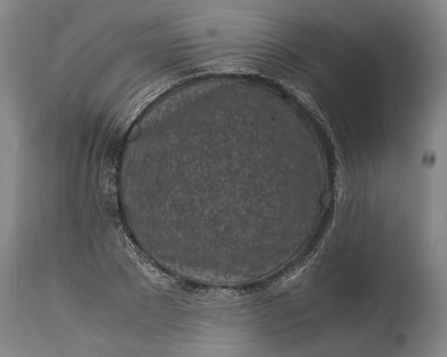 X0000115300881200911161655