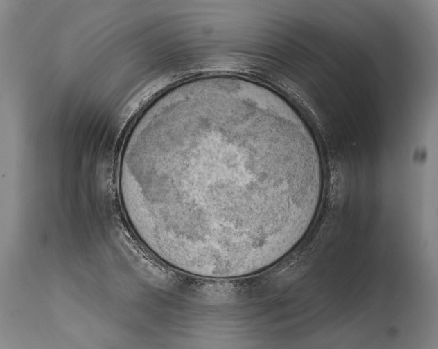 X0000115300882200911161655