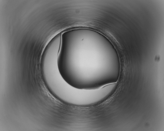 X0000115300884200911161655