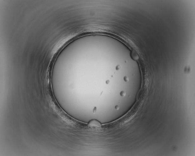 X0000115300885200911161655