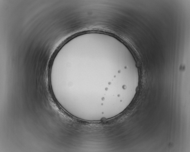 X0000115300888200911161655