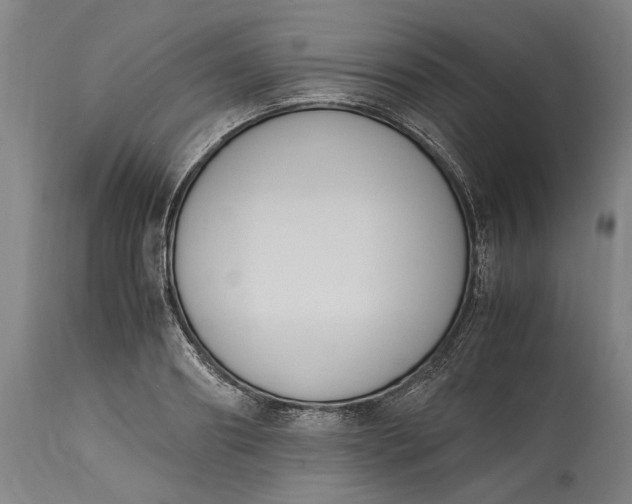 X0000115300890200911161655