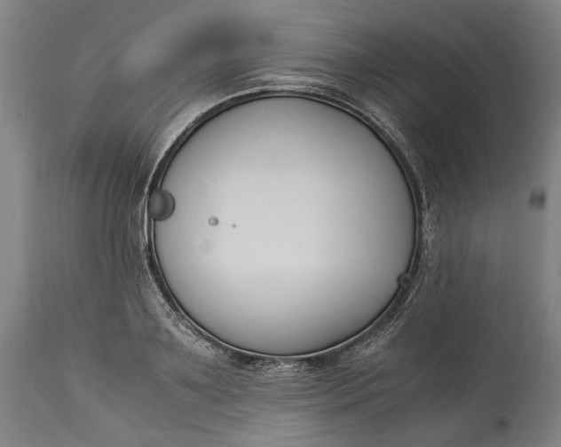 X0000115300891200911161655